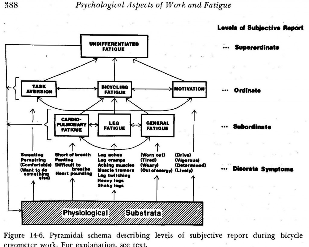 1976 Symptom Model