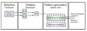Eklof Thesis Figure 1 2012 top