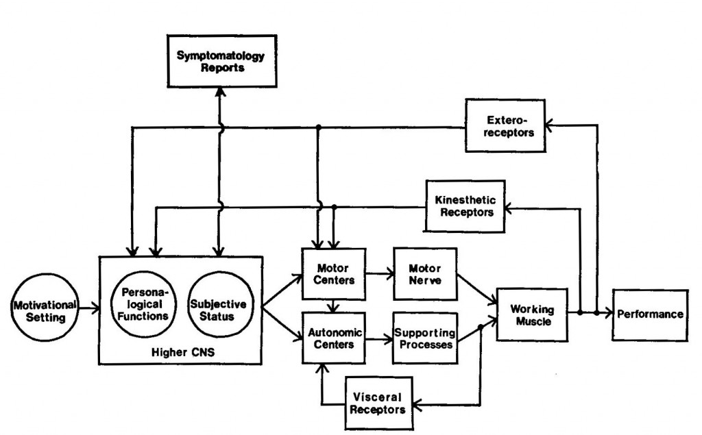 Block model of exercise mechanisms