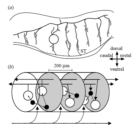 Humphries etal 2007 Fig 2