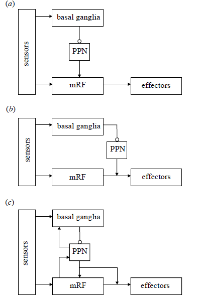 Humphries etal 2007 Fig 5