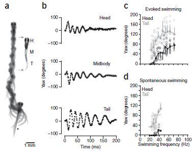 McLean etal Cont shifts 2008 Fig 1 top1