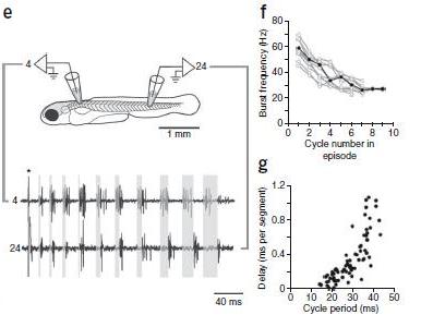 McLean etal Cont shifts 2008 Fig 1 top2