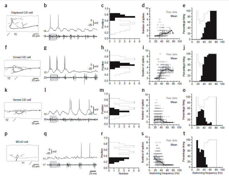 McLean etal Cont shifts 2008 Fig 8 top