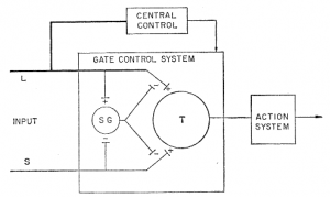 Melzak Wall 1984 Spinal cord gate