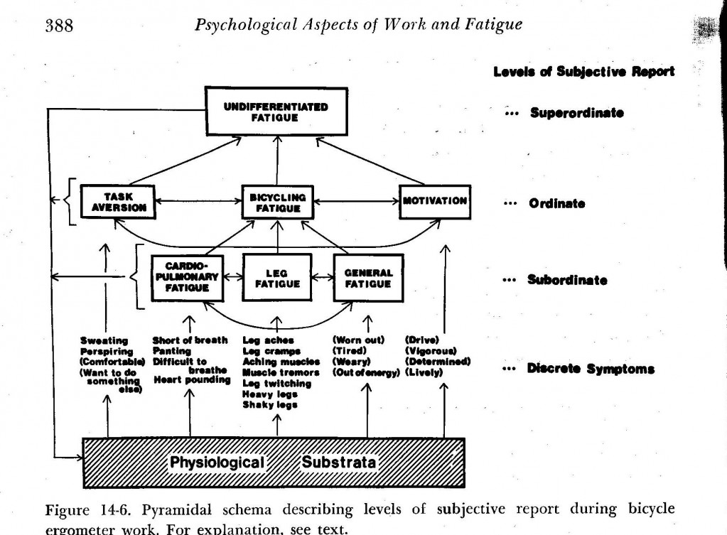 Symptom Model