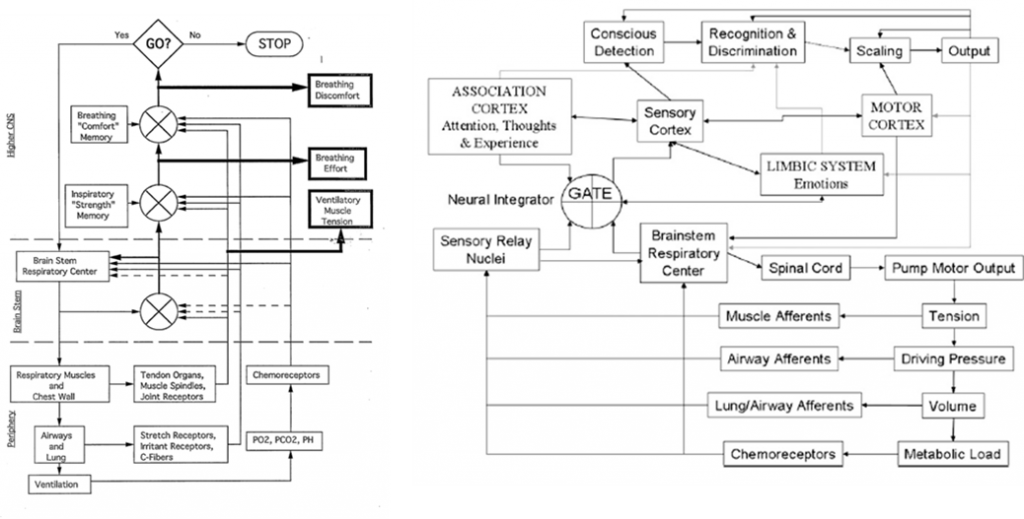 Weiser etal 1993 and Davenport 2007