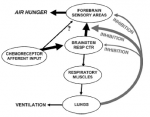 Banzett 2007 Fig 3 air hunger