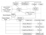 Davenport in ODonnell etal 2007 Fig 2
