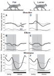 Beloozerova etal Figure 11 locomotion and RTN