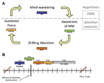 Hasenkamp etal 2012 Fig 1