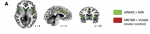 Hasenkamp etal 2012 Fig 2A