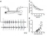 McLean etal Cont shifts 2008 Fig 1 top2