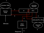Menon Uddin 2010 Fig 5