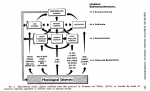 Pandolf schema 1975