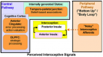 Paulus Stein Interoception model 2010 Fig 1