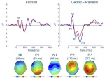 von Leopoldt etal 2013 Fig 3.pdf